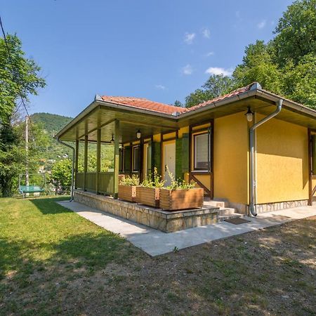 Vila Camelia โกลูบาค ภายนอก รูปภาพ